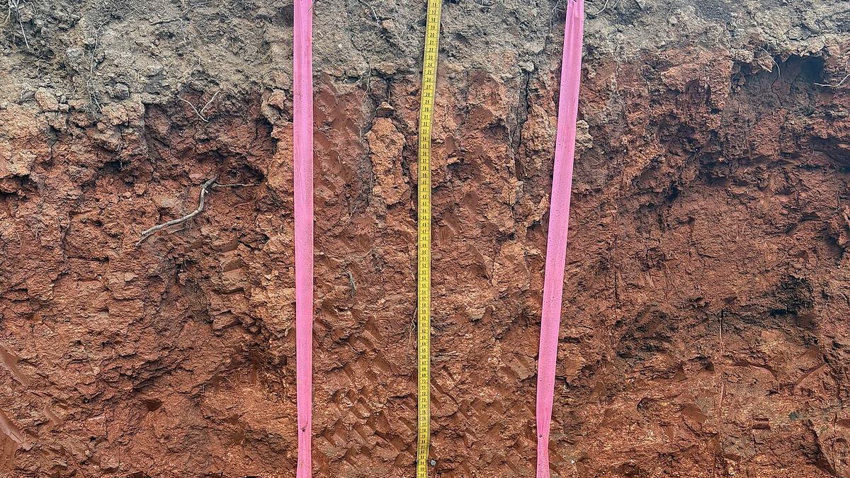 A real soil profile — note how distinct the horizons are